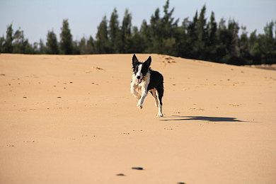 《战神：诸神黄昏》幕后系列第五集 “火之国”穆斯贝尔海姆